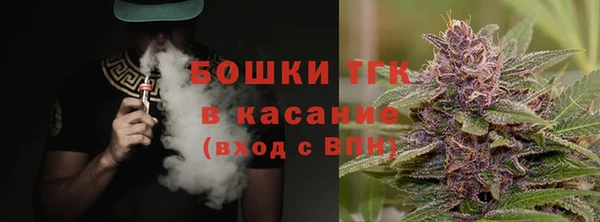 ALPHA PVP Каменка