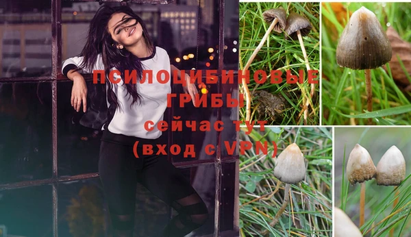 твердый Каменск-Шахтинский