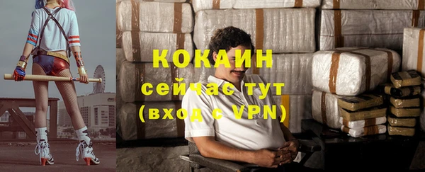 ALPHA PVP Каменка