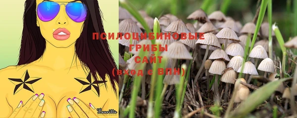 скорость Калининец